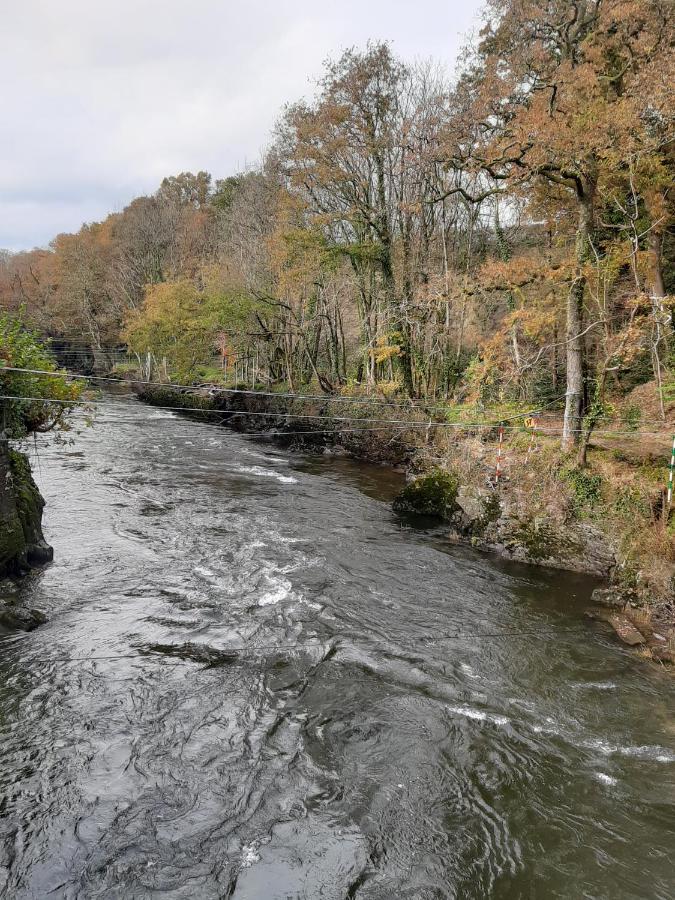 Selah Teifi Spectacular River View With Games Room Llandysul Exterior photo